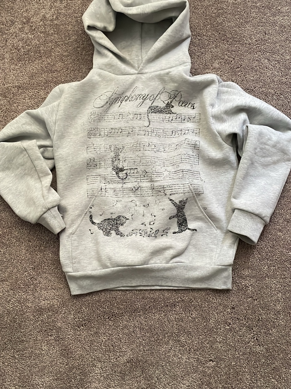 Gray NightSxhoolSwag Graphic Hoodie